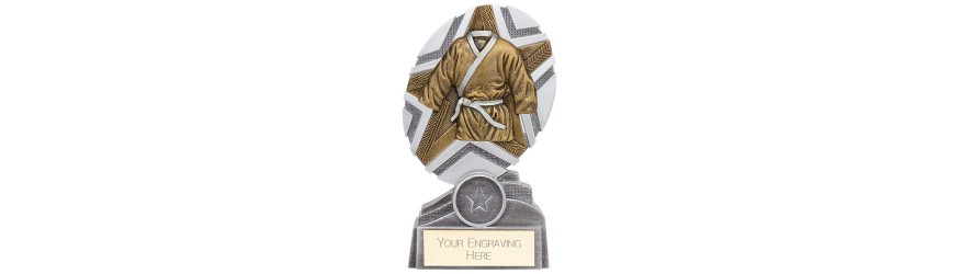 THE STARS MARTIAL ARTS TROPHY - 3 SIZES - 13CM - 17CM